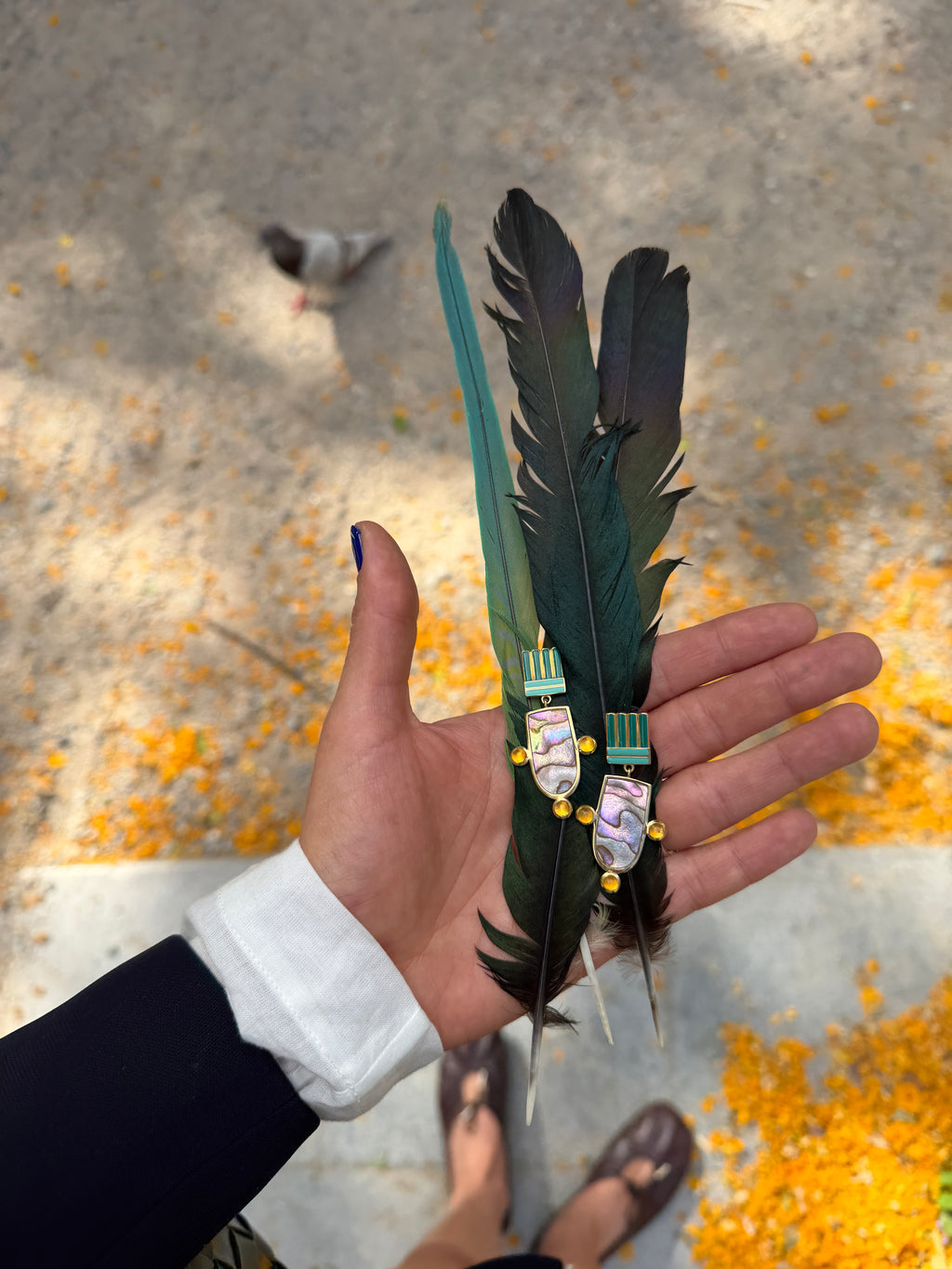 Queen Parrot