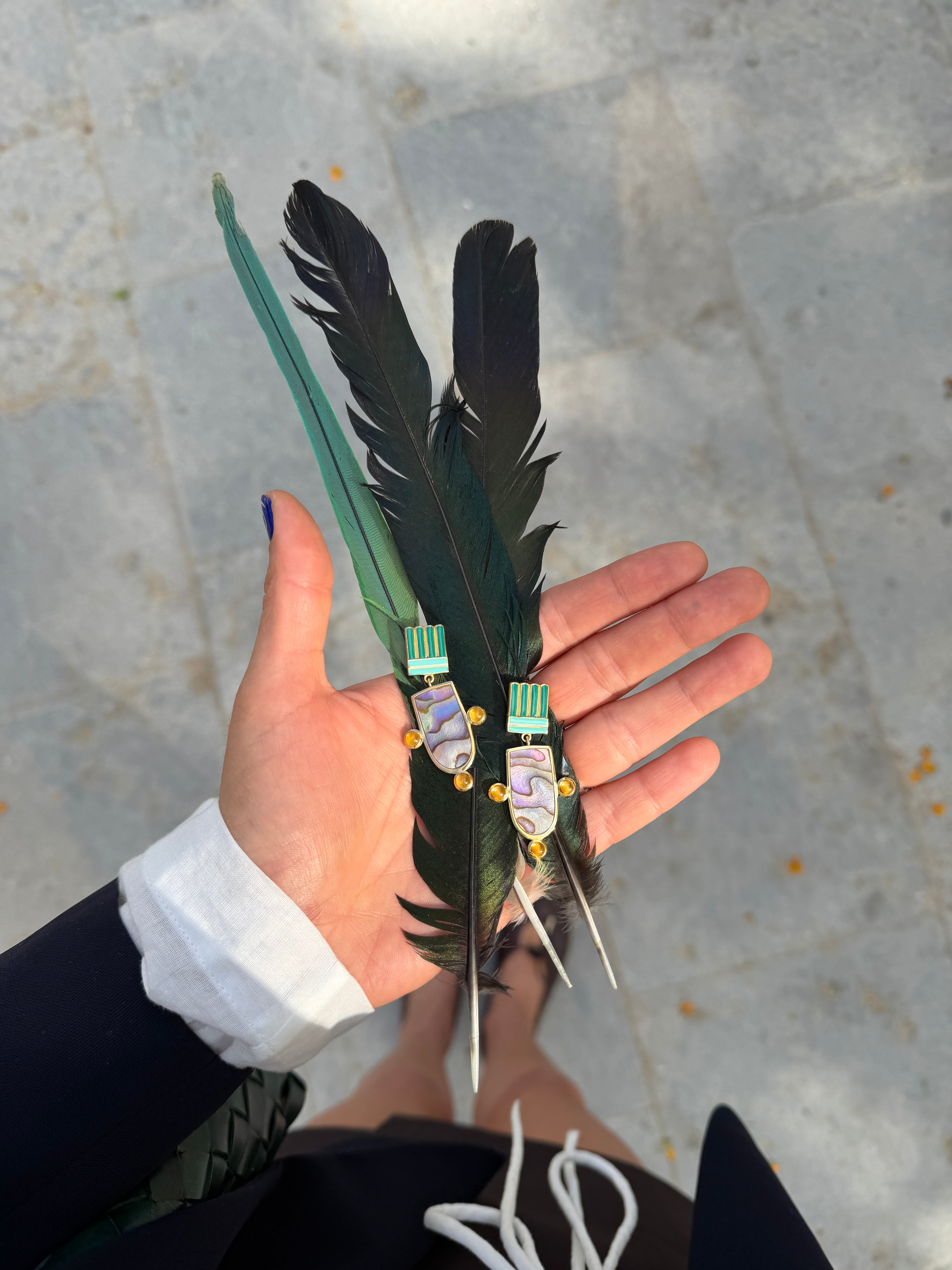 Queen Parrot