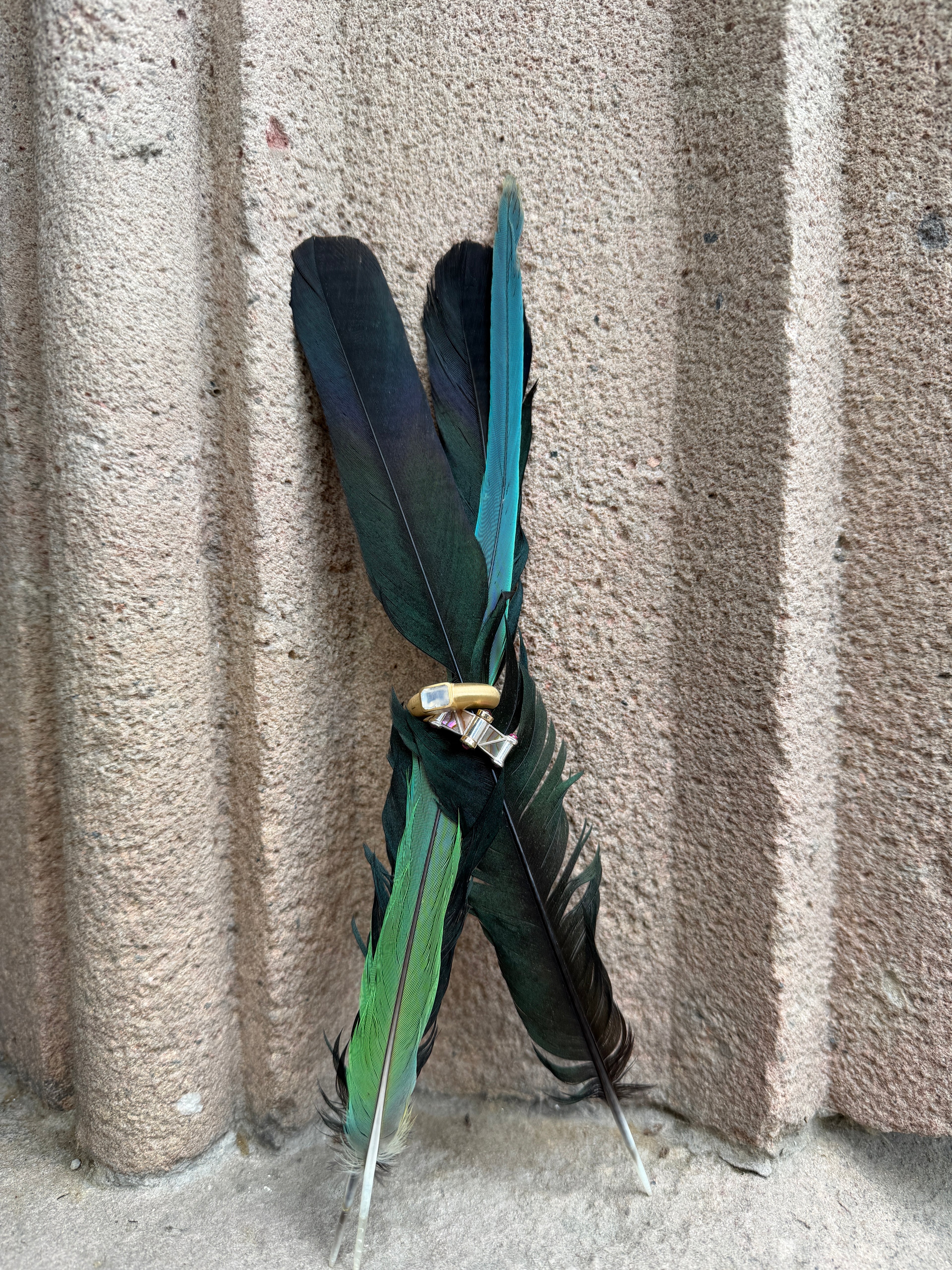 City Wings