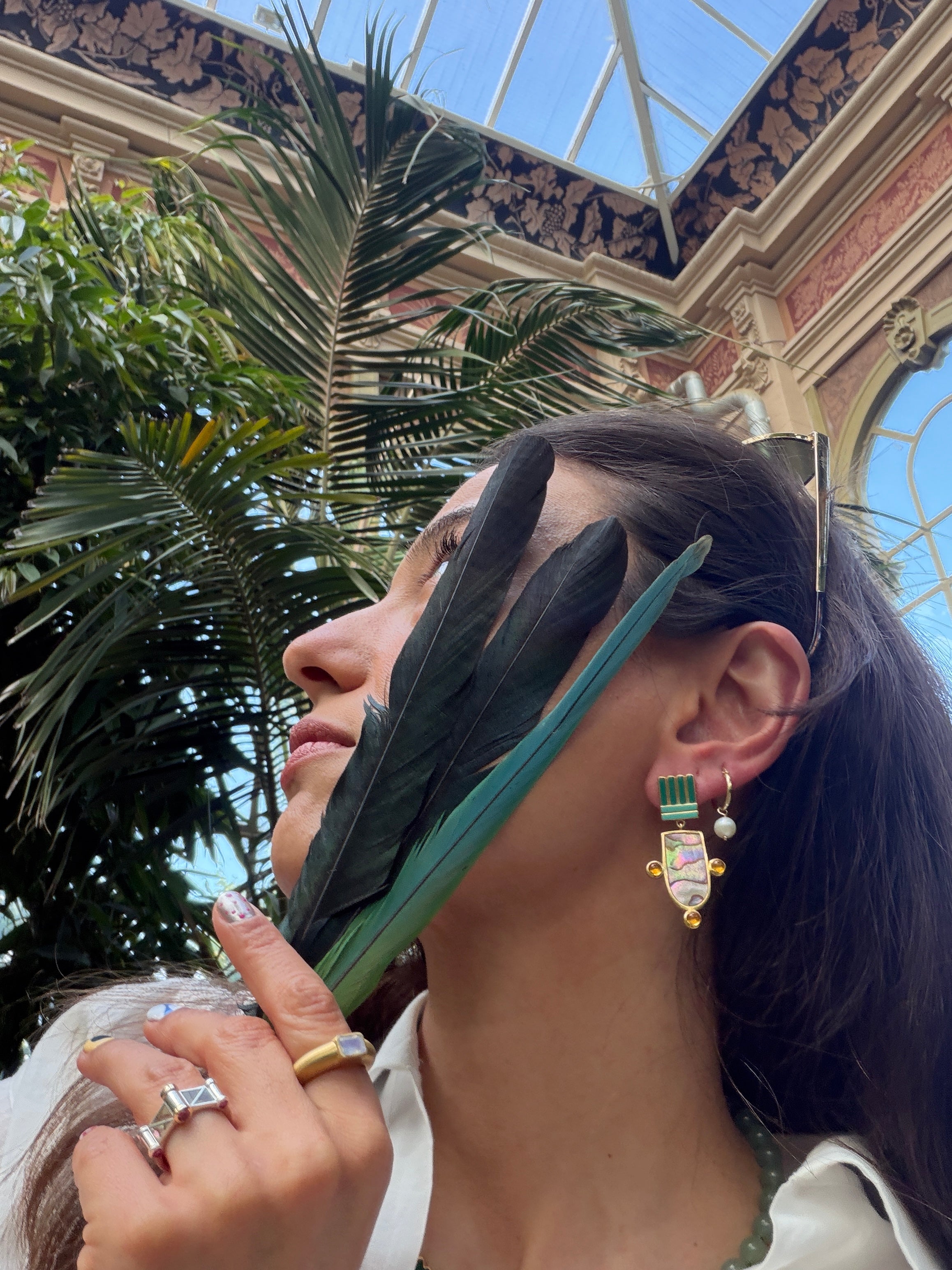 Queen Parrot
