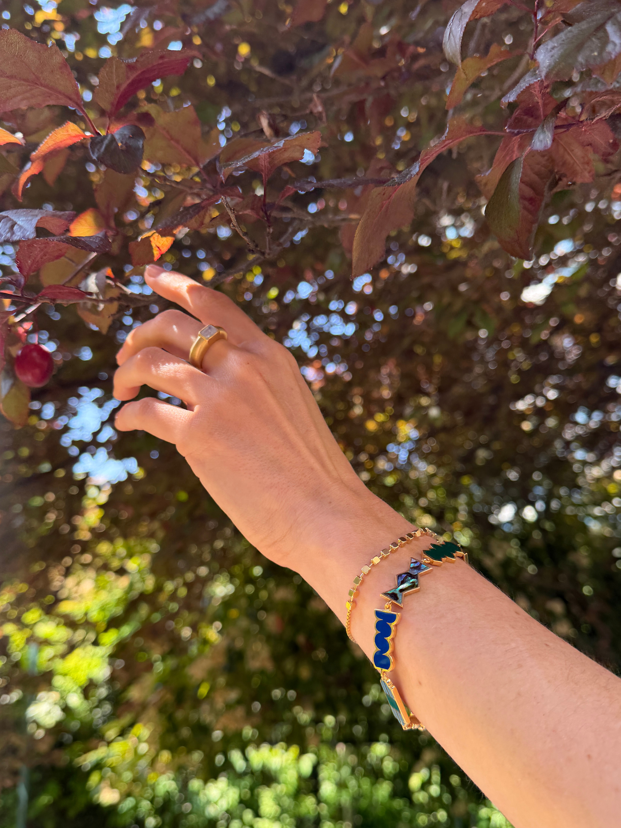 Parakeet Bracelet